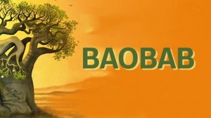 Baobab